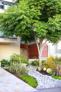 Modern-River-Rock-Garden-Patio-Exterior-Design