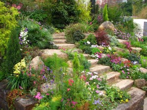 beautiful-garden-landscape-ideas-with-stone-steps-colorful-flowers
