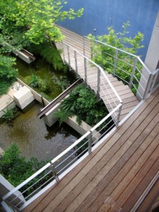 fish-pond-views-from-the-top-of-the-stairs-in-a-house-in-Lemesos-4