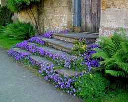 flower stairs1