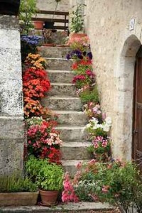 flowers on steps