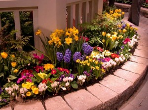 impressive-colorful-flower-bed-ideas
