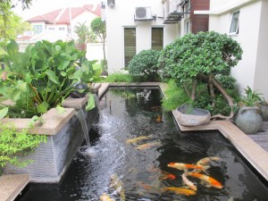 outdoor-fish-pond-with-waterfall-and-natural-plants