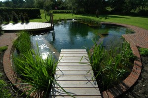 outdoor-water-features-pond-1