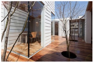 Modern-Indoor-Garden-Inside-the-Sky-Catcher-with-Wooden-Floor-and-Leafless-Trees-Also-with-Glass-Panel-that-Viweing-the-Dining-Area-906x604
