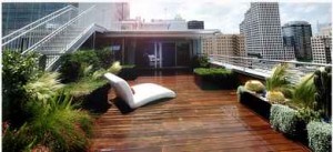 Sophisticated-Modern-Garden-with-White-Longue-Sofa-also-Wooden-Floor-and-Roof-Top-Garden-full-of-Cactus-Surrounded-by-Metal-Hedge