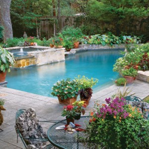 container-gardens-around-pool-l