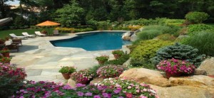 pool_surrounded_by_flowers_and_shrubs