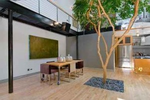 Indoor-tree-in-Luxury-Loft-ex-Basketball-Court-in-California-by-Martin-Building-Company