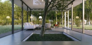 Le-Anh-white-living-with-indoor-tree-feature
