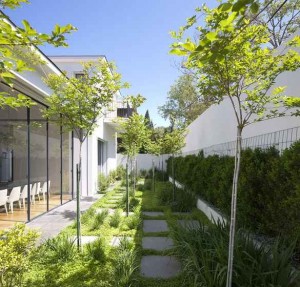 Modern-Landscape-Garden-Beside-the-Ramat-Hasharon-Residence-with-Lush-Vegetations-and-Concrete-Pathway-also-with-Vertical-Garden