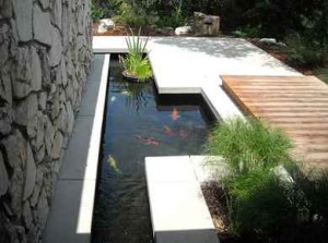 Modern-linear-garden-pond
