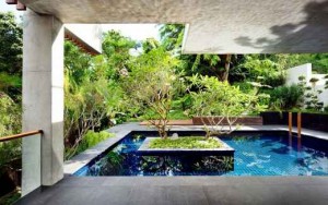 Small Pool Frangipani Trees Tropical Look Garden Glass Rails