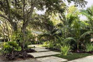 abbotsbury-sub-tropical-garden