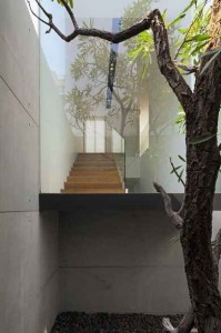 Exciting Indoor Garden Old Tree L-Shaped Modern Family Home