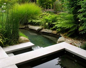 garden-ponds-design-picture