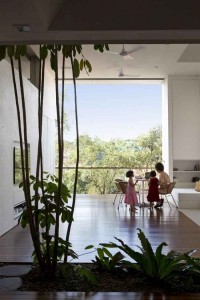 open-space-house-with-high-ceiling-feeling-fresh-with-indoor-garden-and-tree