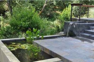 small-pond-backyard-water-feature