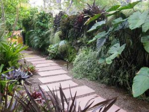 Contemporary-Tropical-Side-Gardening-Patio-Landscape-Ideas