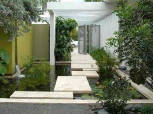 modern entrance garden