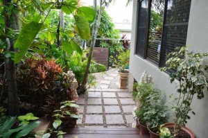 tropical side garden