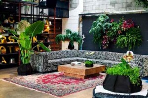 Indoor-Garden-for-Living-Room-Design-Ideas
