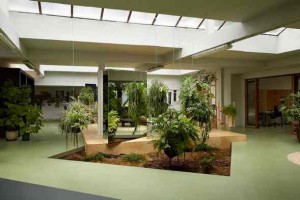 Modern-Indoor-Gardening-Ideas-Inside-the-Random-Studio-Office-Screened-by-Glass-and-Lightened-from-Skylight-Above-Them-906x604