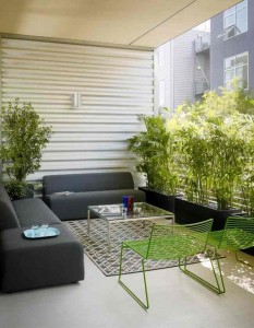 city-terrace-decor-ideas-with-indoor-garden-near-living-room