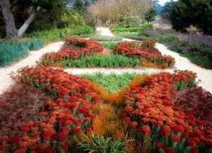 drought-tolerant-garden-design-eckersley-1