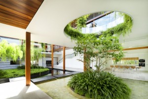 fabulous-home-indoor-garden-under-round-sunroof-small-tree-shrub-vine-wood-ceiling