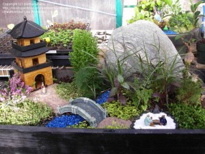 garden-design-japanese-rock-garden-miniature-home-designs-ideas-800x600