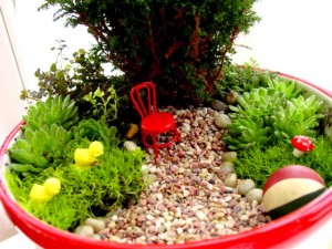 has-a-birthday-this-week-so-i-thought-id-make-her-a-miniature-garden-640x480