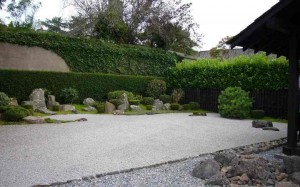 modern-japanese-garden-with-hedges-and-fences-and-sand-and-stones-and-gravel