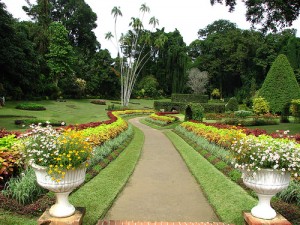 Peradeniya-Botanical-Gardens031