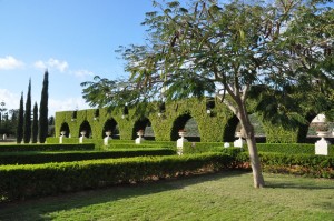 aquaduct-hedge-at-bahai-gardens-akko