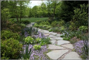 beauteous-garden-walkways-7