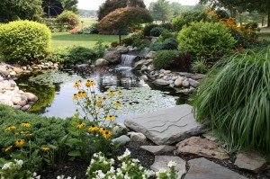 creative-landscape-design-with-Water-Garden