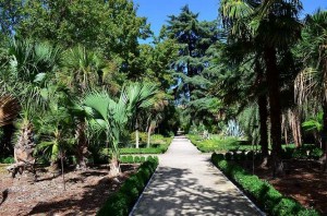 Botanical-Gardens-Madrid-3