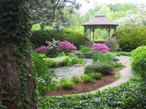 pictures-backyard-landscaping-ideas