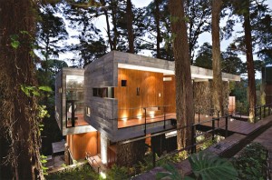 modern-tree-house-design-in-guatemala