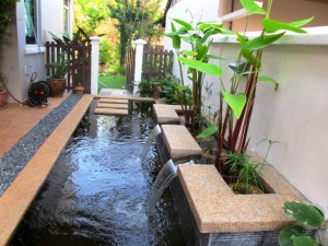 Fish-Pond-Design-Ideas-in-Backyard