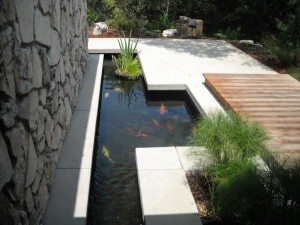another-modern-koi-pond