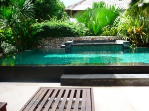 the-small-garden-plunge-pool1
