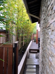 56-ideas-for-bamboo-in-the-garden-out-of-sight-or-decoration-15-980