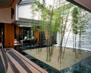 56-ideas-for-bamboo-in-the-garden-out-of-sight-or-decoration-19-980