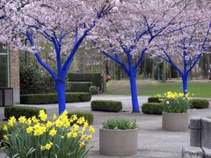 blue-paint-decorating-trees-1