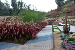 landscaping-with-xeriscape-plants