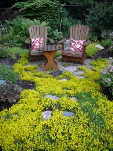 Extraordinary-Backyard-Ideas-decorating-ideas-for-Killer-Landscape-Traditional-design-ideas-with-bushes-gardens-ground-cover-muskoka-chairs-shrubs-sitting-area-stone-pathway-stone