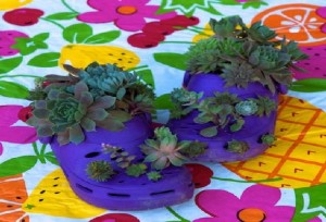 Flower-pots-ideas18