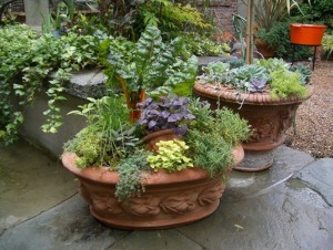 Great-Mixed-Herb-Garden-Patio-Container-Ideas